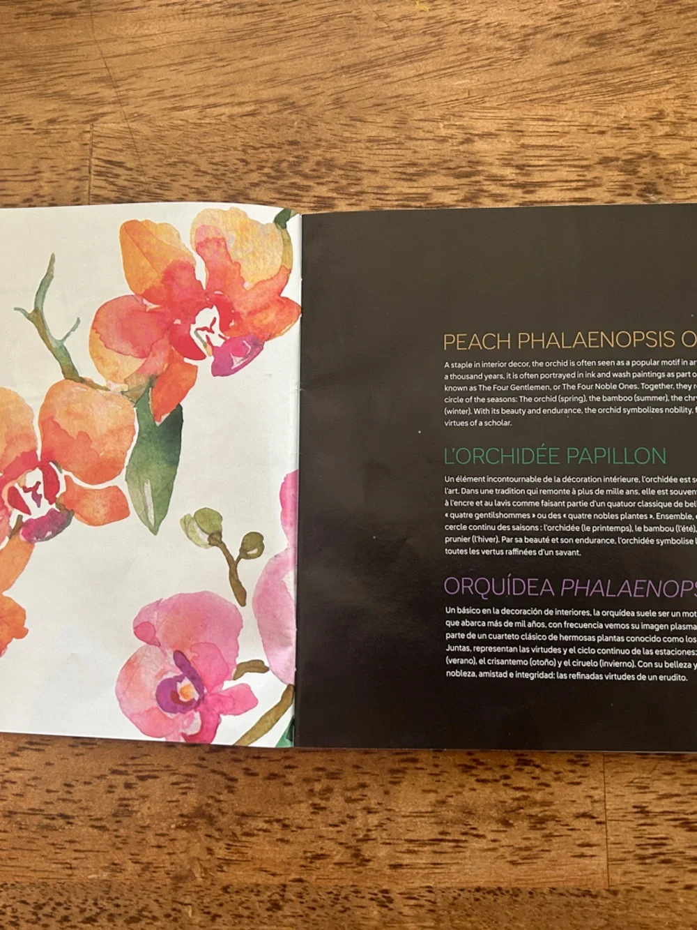 LEGO Orchid Stem with Pink and Tan Blooms INSTRUCTIONS ONLY